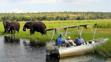 tourism