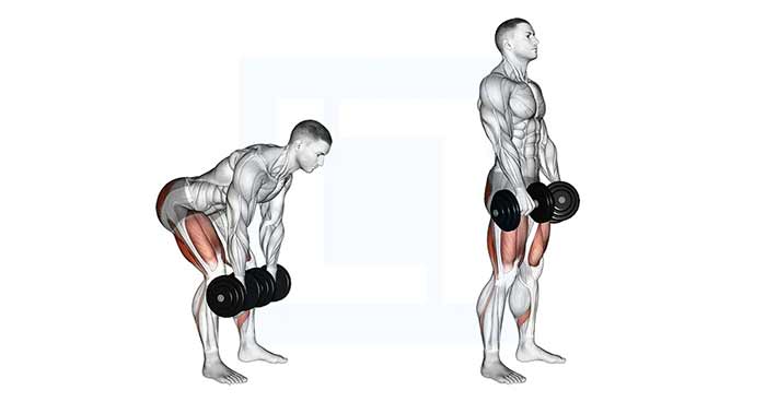 ددلیفت با دمبل