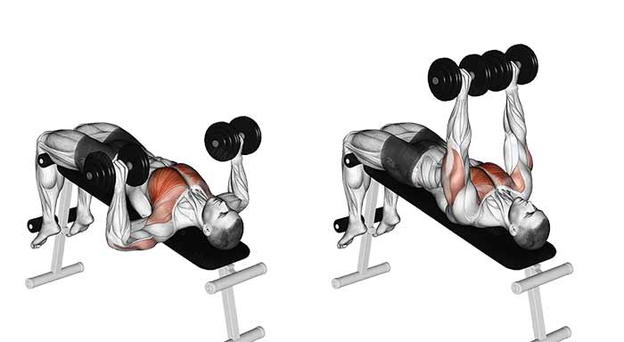 پرس سینه با دمبل