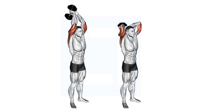 پشت بازو با دمبل