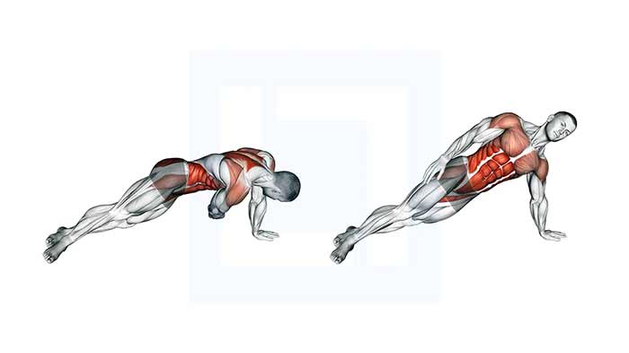 پلانک با دمبل