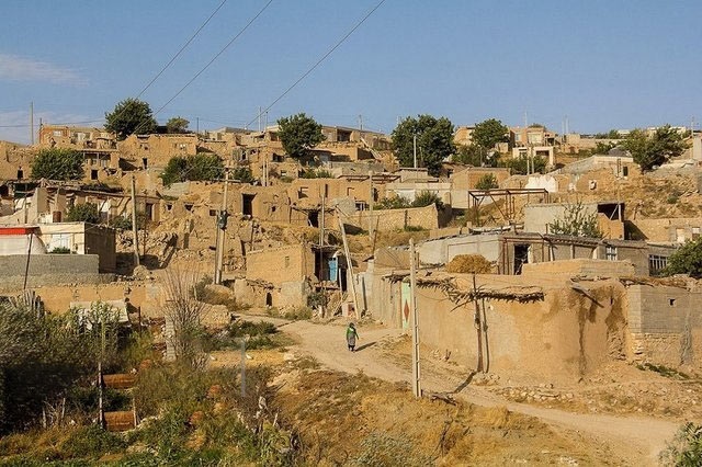 اردجین یا ارشت
